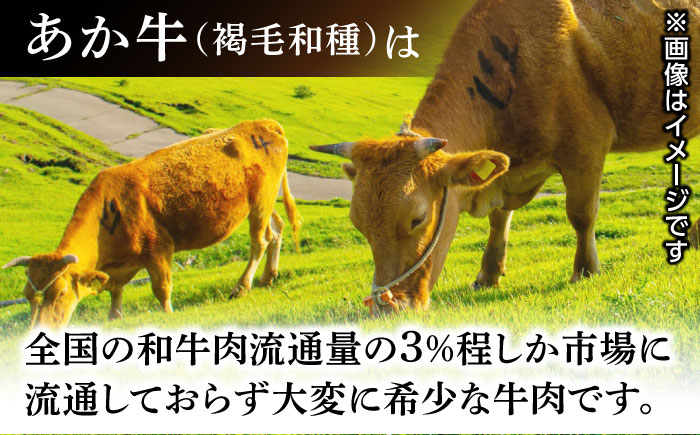 肥後の赤牛 ロースステーキ 500g ロース ステーキ 贅沢 熊本 赤牛 赤牛 褐牛 あかうし 褐毛和種 肥後 冷凍 国産 牛肉 九州産 熊本産【やまのや】[YDF026]