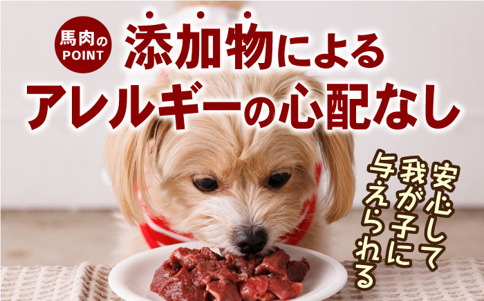 【全12回定期便】詰め合わせ 国内加工 ペット用 馬肉 切り落とし 1kg ペット用 馬刺しジャーキー 100g(50g×2)【五右衛門フーズ】 [YBZ070]