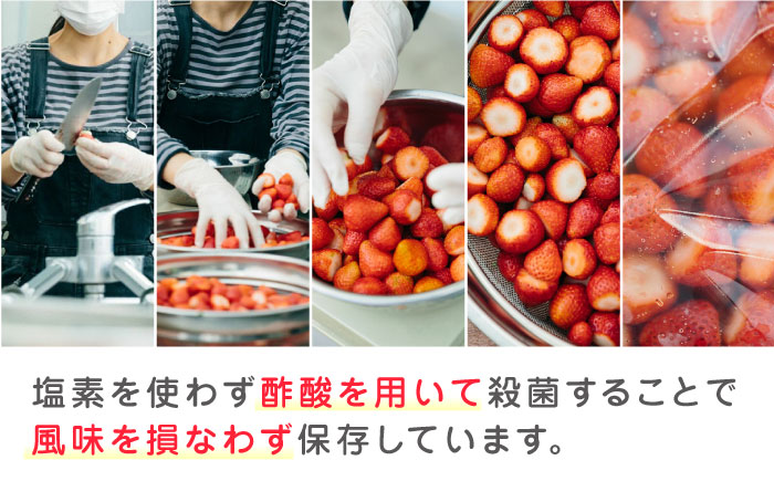 【数量限定】 冷凍 いちご 計12kg ( 500g × 24P ) 熊本県産 山都町産【なかはた農園】[YBI006] 