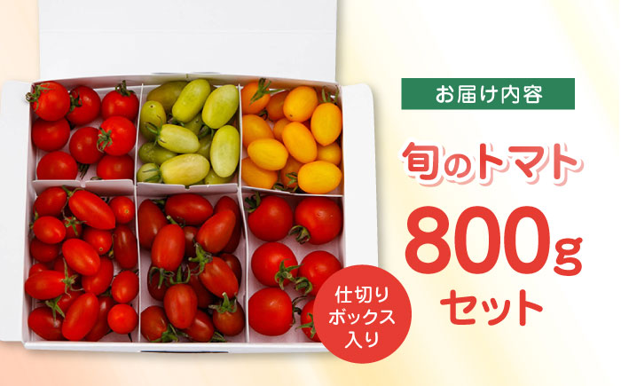 【期間限定】熊本県産 減農薬栽培 トマト ミディトマト 詰め合わせ 800g 食べ比べ ギフトセット 産地直送【矢仁田農園】[YDE002] 