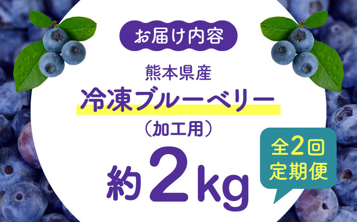 【8月末より順次発送】【全2回定期便】【加工用】冷凍ブルーベリー 2kg【「のん気・元気」百姓家】 [YAL028]