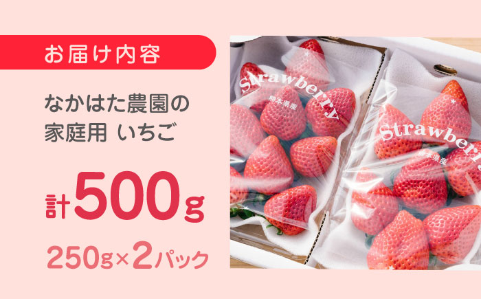 【2024年12月〜順次発送】いちご食べ比べ セット 3品種 計500g ( 250g × 2P ) 農園直送 産地直送 熊本県産 山都町産 イチゴ ストロベリー【なかはた農園】[YBI001] 