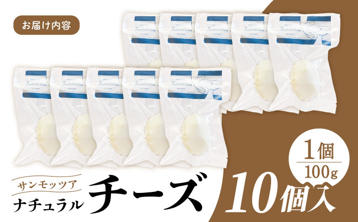 自家製 ナチュラルチーズ サンモッツア 10個 ( 100g × 10個 ) / チーズ モッツァレラチーズ  乳製品 熊本 山都町【山の未来舎】[YBV009] 