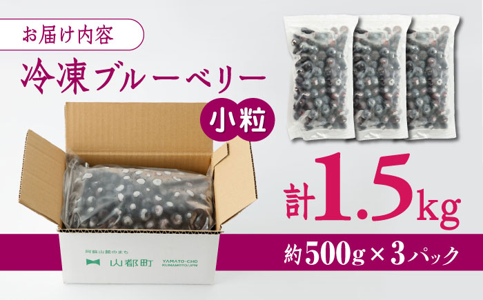 【数量限定】冷凍ブルーベリー 小粒 計1.5kg (約500g×3パック) 熊本県産 山都町産 ブルーベリー フルーツ スムージー 果物 小分け 国産【興梠農園】[YBQ004] 