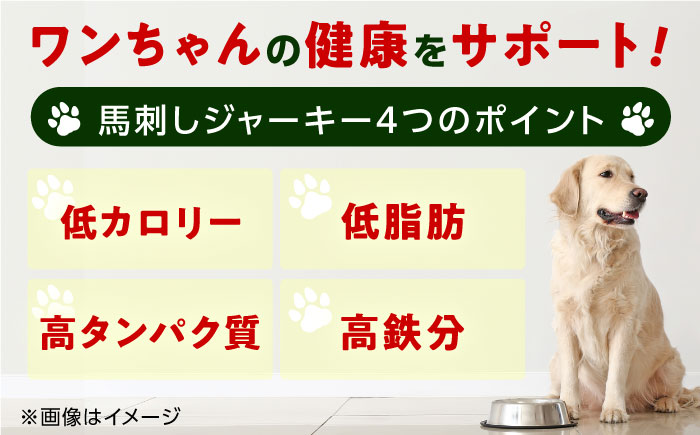 【全3回定期便】詰め合わせ 国内加工 ペット用 馬肉 切り落とし 1kg ペット用 馬刺しジャーキー 100g(50g×2)【五右衛門フーズ】 [YBZ068]