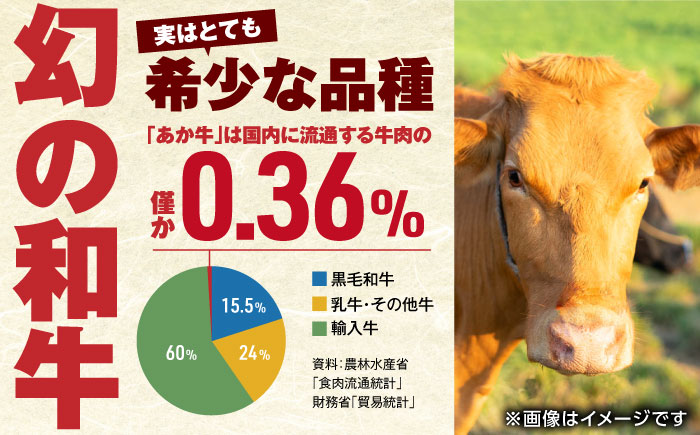 【全3回定期便】 肥後の赤牛 ハンバーグ 150g×10個 熊本 赤牛 ジューシー 褐牛 あかうし 褐毛和種 肥後 冷凍 国産 牛肉【やまのや】[YDF011] 