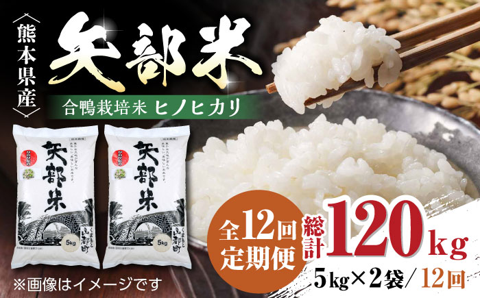 【全12回定期便】令和5年産  矢部米 合鴨栽培米 10kg (2kg×5袋) お米 白糸台地 熊本産 特別栽培米 定期便【一般社団法人 山都町観光協会】[YAB021] 288000 288,000 288000円 288,000円