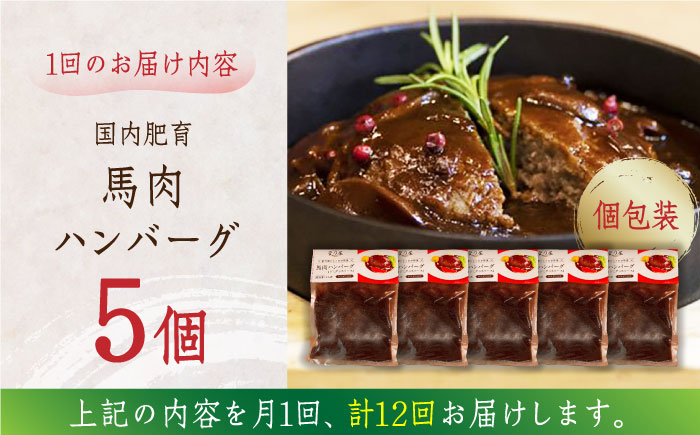 【全12回定期便】国内肥育 冷凍 馬肉ハンバーグ 計1kg ( 200g × 5個 ) デミグラスソース入り 小分け 個包装 惣菜 湯煎 熊本【有限会社 丸重ミート】[YAK051] 