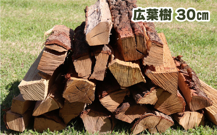 【全12回定期便】薪ストーブ用 乾燥薪 約20kg 30cm 広葉樹 焚付同梱 【株式会社 山都興産】[YCY004] 120000 120,000 120000円 120,000円 12万円