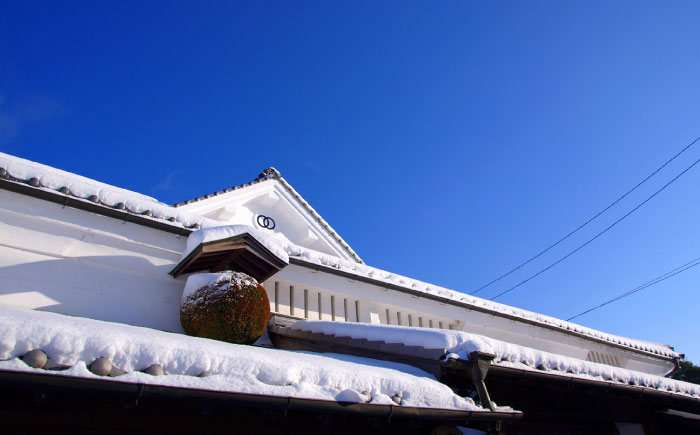 【全6回定期便】純米吟醸酒 蝉 720ml×2 日本酒 熊本県産 山都町産 通潤橋 【通潤酒造株式会社】[YAN033] 