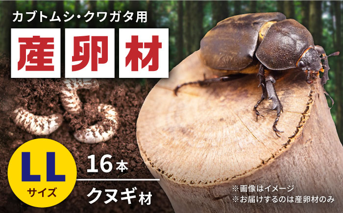 オリジナル産卵材 LLサイズ カブトムシ クワガタ クヌギB材 【ふるさと昆虫】 [YDV005]