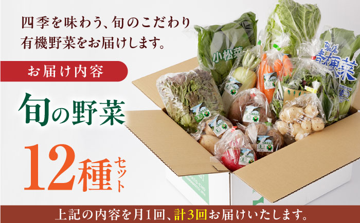 【全3回定期便】四季を味わう野菜セット【株式会社 肥後やまと】 [YAF020]