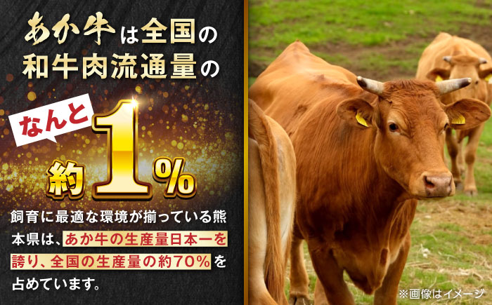 【全12回定期便】増量 GI認証 くまもとあか牛 12種 食べ比べ 【有限会社 三協畜産】 [YCG102]