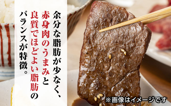 【全6回定期便】 肥後の赤牛 焼肉用 500g やきにく 焼き肉 贅沢 熊本 赤牛 褐牛 あかうし 褐毛和種 肥後 冷凍 国産 牛肉【やまのや】[YDF014]