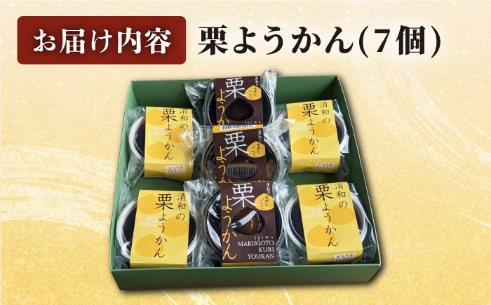 熊本県産 山都町産 栗ようかん × 7個 セット 詰め合わせ お菓子 菓子 おやつ【道の駅清和文楽邑 清和物産館「四季のふるさと」】[YAI014] 10000 10,000 10000円 10,000円 1万円