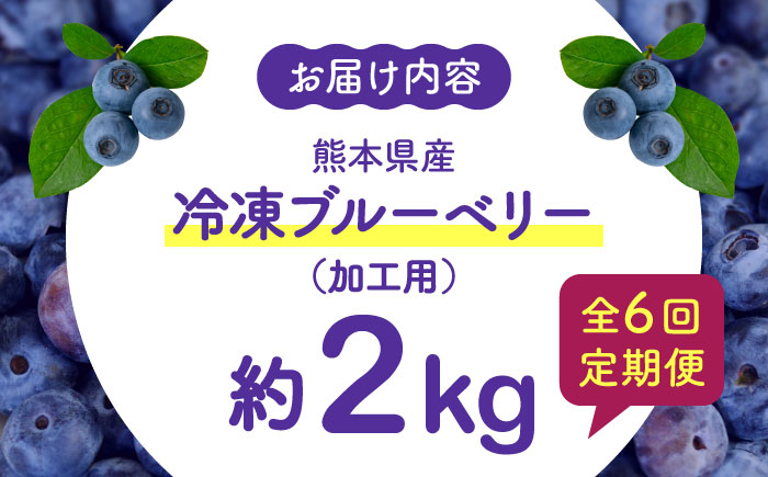 【8月末より順次発送】【全6回定期便】【加工用】冷凍ブルーベリー 2kg【「のん気・元気」百姓家】 [YAL030]