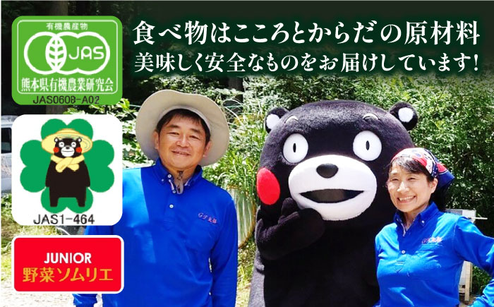 【数量限定】【訳あり】有機ジャガイモ規格外品 山都町 熊本県産 有機 じゃがいも 約5kg【グリーンファーム矢部】 [YDC005]