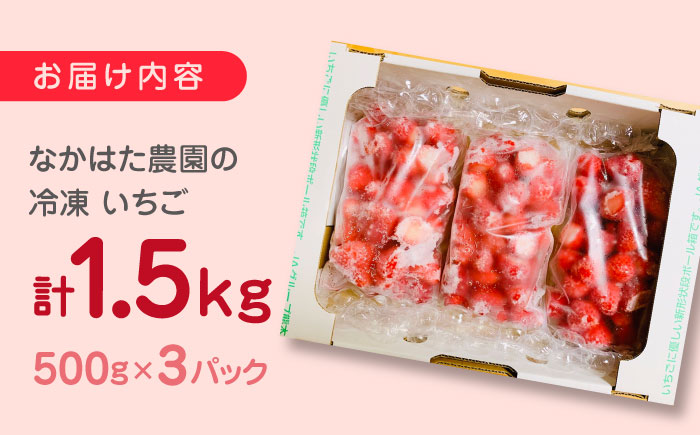 【数量限定】 冷凍 いちご 計1.5kg ( 500g × 3P ) 熊本県産 山都町産【なかはた農園】[YBI005] 