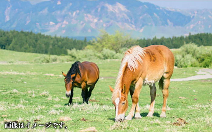 【全6回定期便】熊本肥育 赤身 馬刺し 計200g (100g×2パック) 熊本 冷凍 馬肉 馬刺 ヘルシー【五右衛門フーズ】[YBZ011] 60000 60,000 60000円 60,000円 6万円