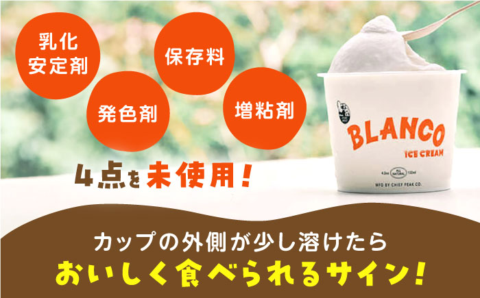 ハンドメイドアイスクリーム 6種 食べ比べ  8個セット 詰め合わせ アイスクリーム 熊本 山都町 アイス【BLANCO ICE CREAM】[YCM005]