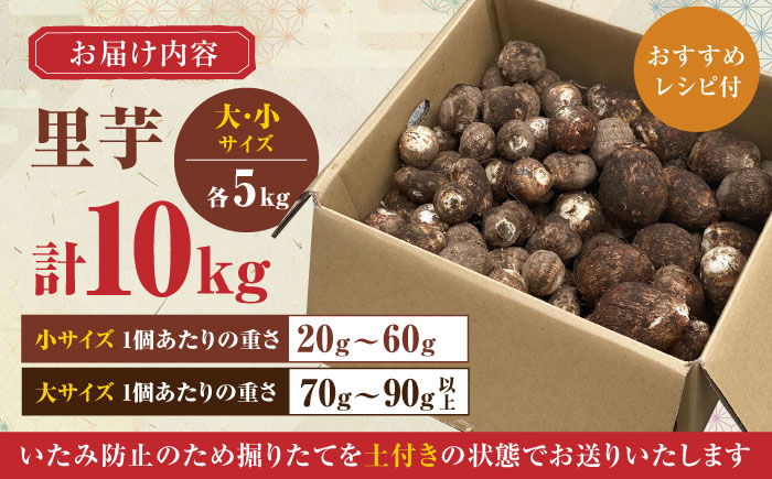 【産地直送】土付き 里芋 約10kg  ( 大サイズ 小サイズ 各5kg ) 竹粉育ち 山都町産 熊本産[YCT006] 