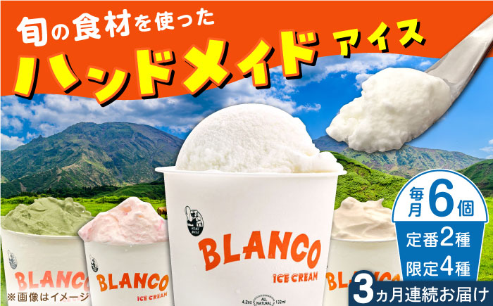 【全3回定期便】ハンドメイドアイスクリーム 食べ比べ 6個セット ( 6種 × 各1個 ) 詰め合わせ アイスクリーム 熊本 山都町 アイス【BLANCO ICE CREAM】[YCM002] 