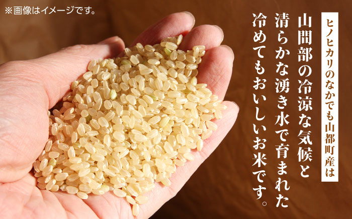 令和6年産 新米 熊本県 山都町産 ひのひかり 玄米 30kg 【株式会社 米久】 [YDB002]