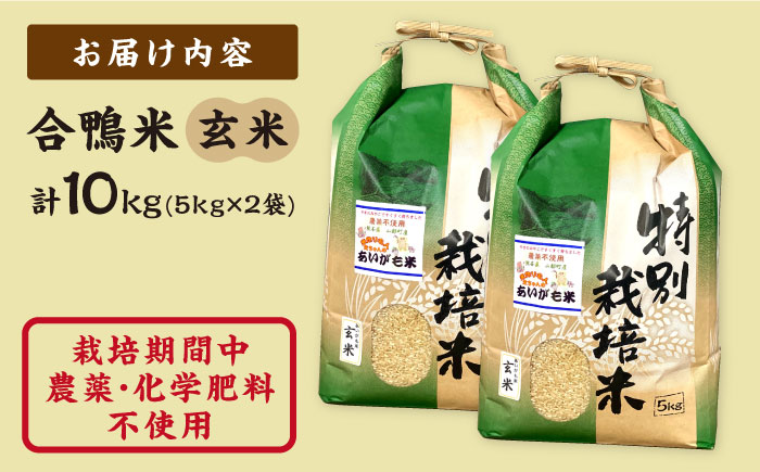 【先行予約】【令和6年産】合鴨米 玄米 計10kg ( 5kg × 2袋 ) 米作り名人完ちゃんの合鴨米 栽培期間中農薬化学肥料不使用 熊本産[YCT002] 