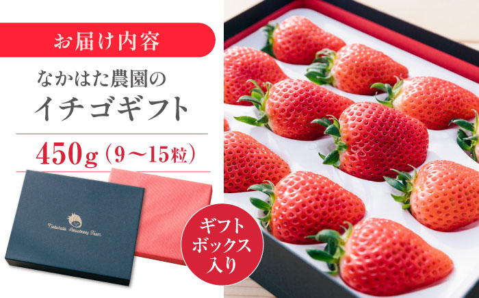 【数量限定】【先行予約】ギフト 特選 いちご 450g ( 9-15粒 ) 熊本県産 山都町産【なかはた農園】[YBI015] 