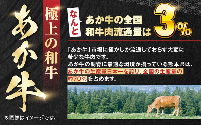 【【年間25万個販売！】】熊本県産 くまモン あか牛 ハンバーグ 120g×6個 セット 日本ギフト大賞 熊本 赤牛 ギフト 贈答 プレゼント 褐牛 あかうし 褐毛和種 肥後 冷凍 国産 牛肉【有限会社 三協畜産】[YCG036]