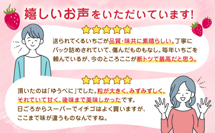 【先行予約】【全3回定期便】いちご食べ比べ セット 3品種 総計3.0kg ( 250g × 4P × 3回 ) 農園直送 産地直送 熊本県産 山都町産 いちご イチゴ ストロベリー【なかはた農園】[YBI003] 