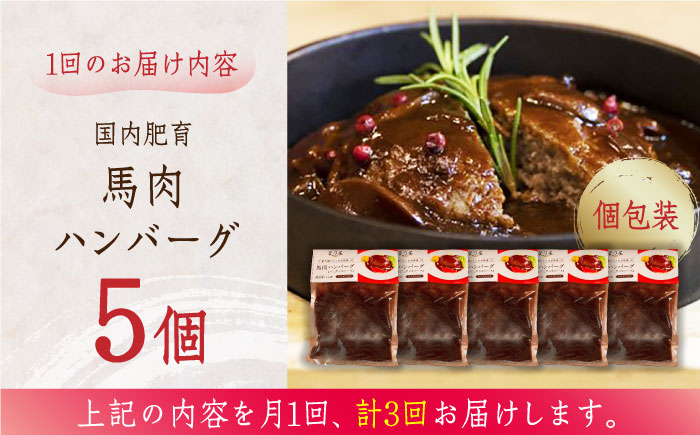 【全3回定期便】国内肥育 冷凍 馬肉ハンバーグ 計1kg ( 200g × 5個 ) デミグラスソース入り 小分け 個包装 惣菜 湯煎 熊本【有限会社 丸重ミート】[YAK025] 