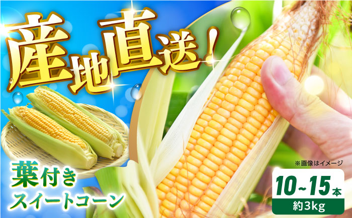 葉付きスイートコーン 計約3kg 山都町産 とうもろこし 熊本県産 夏野菜 スイートコーン スィートコーン【大浜農園】 [YCE003]