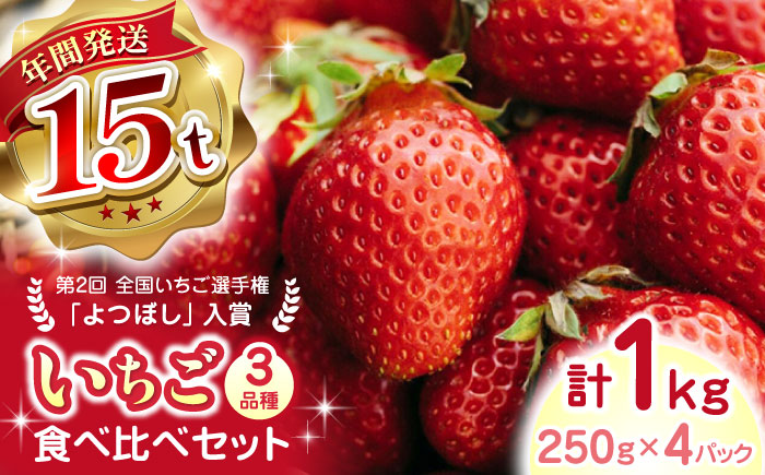 【2024年12月〜順次発送】いちご 3品種 食べ比べセット 計1000g ( 250g × 4P ) 農園直送 産地直送 熊本県産 山都町産【なかはた農園】[YBI002] 