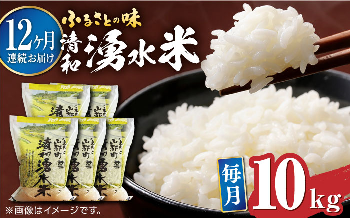 【全12回定期便】清和 湧水米 10kg【道の駅清和文楽邑 清和物産館「四季のふるさと」】[YAI046]