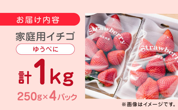 【2024年12月〜順次発送】熊本県産 ゆうべに いちご 計1kg ( 250g × 4P ) 農園直送 産地直送 山都町産【なかはた農園】[YBI029] 