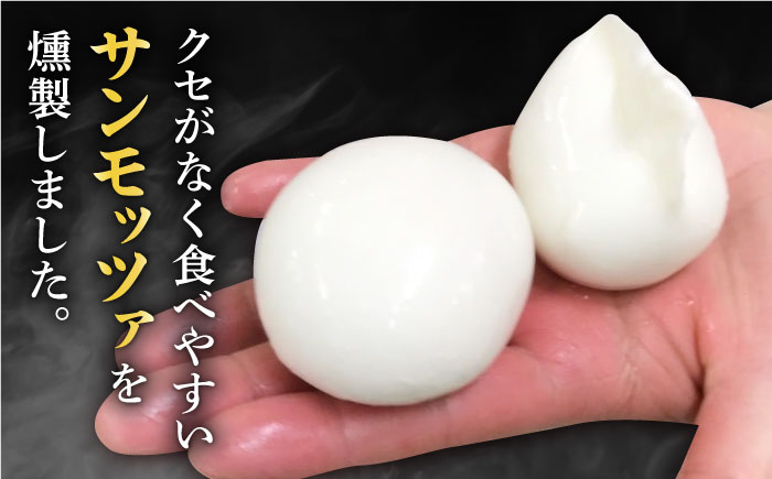 【全12回定期便】燻製 ナチュラルチーズ 100g (2個入り)×4袋 【山の未来舎】 [YBV033]