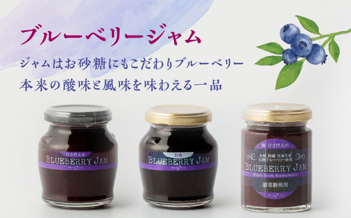 【化粧箱入】ブルーベリーワイン 720ml & ジャム 3個 セット ブルーベリー 熊本 ワイン 山都【社会福祉法人 御陽会 サポートハウス 明星学園】[YBM005] 14000 14,000 14000円 14,000円