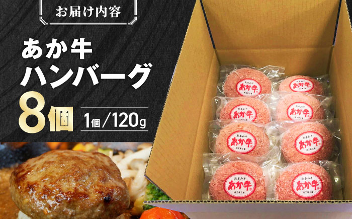 【年間25万個販売！】熊本県産 あか牛 100％ ハンバーグ 120ｇ × 8個 熊本 赤牛 ギフト 贈答 プレゼント 褐牛 あかうし 褐毛和種 肥後 冷凍 国産 牛肉【有限会社 三協畜産】[YCG099] 10000 10,000 10000円 10,000円 1万円