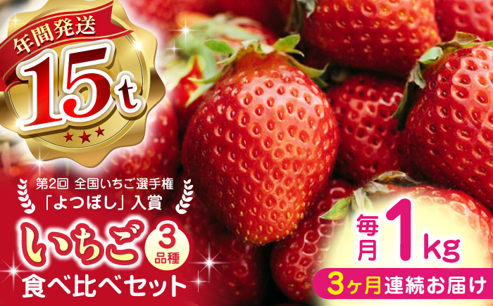 【先行予約】【全3回定期便】いちご食べ比べ セット 3品種 総計3.0kg ( 250g × 4P × 3回 ) 農園直送 産地直送 熊本県産 山都町産 いちご イチゴ ストロベリー【なかはた農園】[YBI003] 