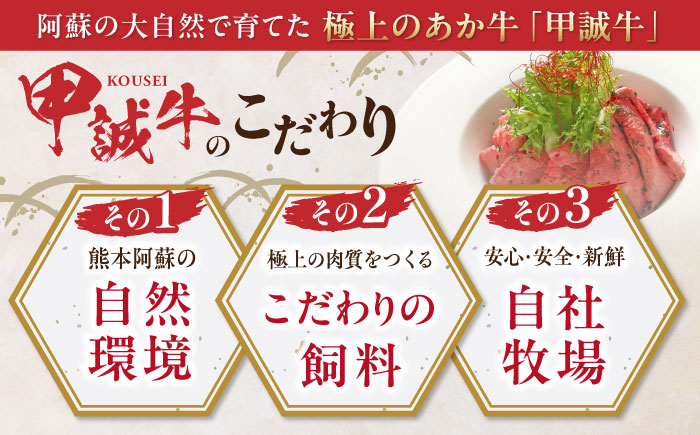 【全6回定期便】熊本県産 あか牛ローストビーフ 200g 冷凍 専用タレ付き あか牛のたれ付き 冷凍 熊本和牛【有限会社 三協畜産】[YCG065] 