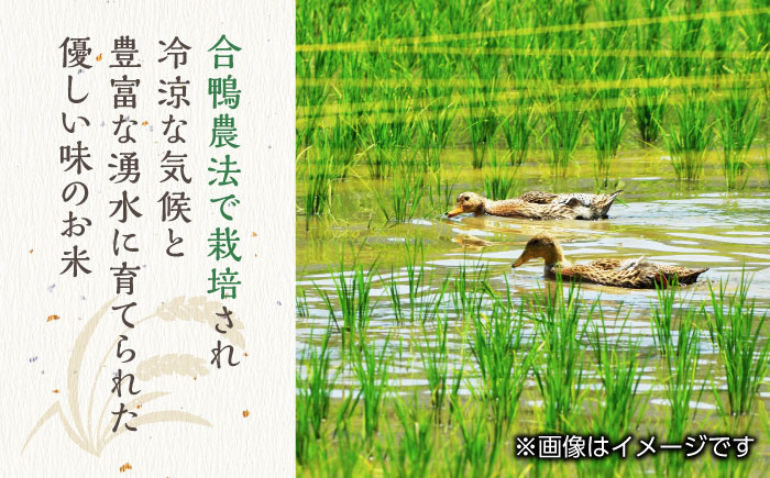 【全12回定期便】令和5年産  矢部米 合鴨栽培米 10kg (2kg×5袋) お米 白糸台地 熊本産 特別栽培米 定期便【一般社団法人 山都町観光協会】[YAB021]