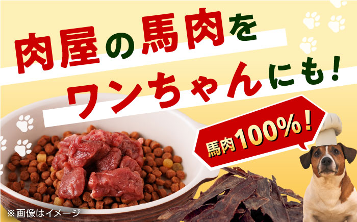 【全3回定期便】詰め合わせ 国内加工 ペット用 馬肉 切り落とし 1kg ペット用 馬刺しジャーキー 100g(50g×2)【五右衛門フーズ】 [YBZ068]