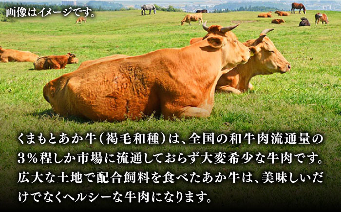 熊本県産くまもとあか牛  焼肉用 400g GI認証 やきにく 焼き肉 贅沢 熊本 赤牛 あか牛 褐牛 あかうし 褐毛和種 肥後 冷凍 国産 牛肉【有限会社 桜屋】[YBW050]