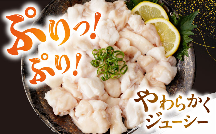 【全3回定期便】熊本県産 あか牛 白 ホルモン 合計1.5kg (250g×2P) 熊本 赤牛 褐牛 あかうし 褐毛和種 肥後 冷凍 国産 牛肉【五右衛門フーズ】[YBZ019] 