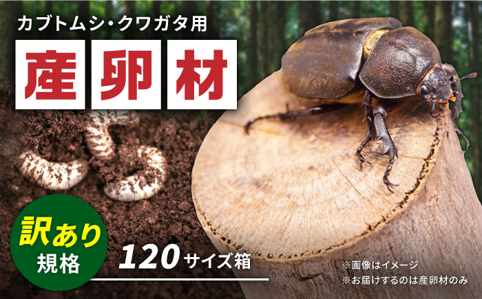 【訳あり】 オリジナル産卵材 規格外品 カブトムシ クワガタ クヌギ材 【ふるさと昆虫】 [YDV007]