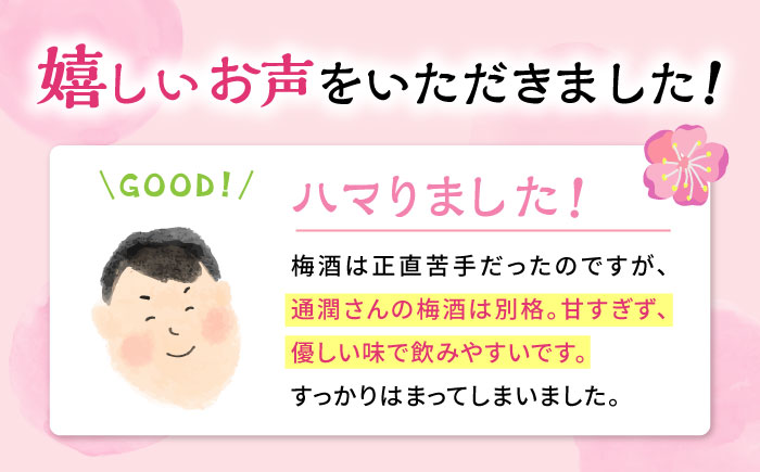 【梅酒品評会受賞】 山の都に咲く梅酒 370ml 2本 お酒 地酒 梅酒 お中元 お歳暮 熊本県 山都町【通潤酒造株式会社】[YAN047] 