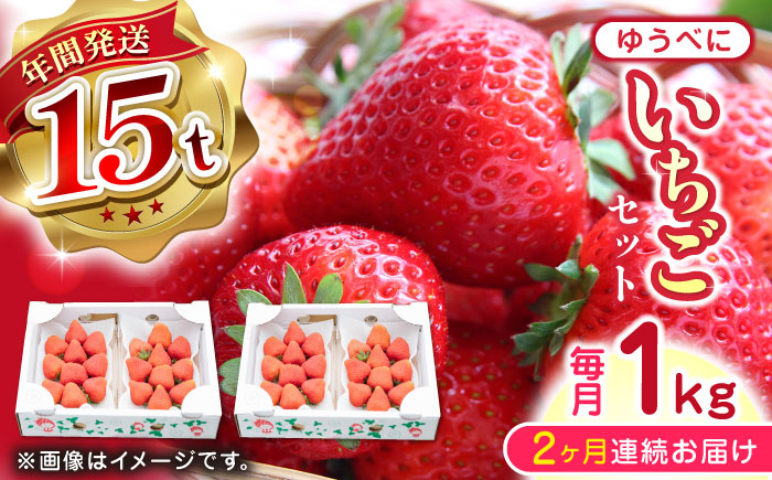 【全2回定期便】ゆうべに いちご セット 250g×4P【なかはた農園】[YBI050] 