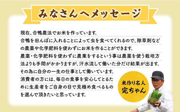 【先行予約】【全3回定期便】【先行予約】令和6年産 米作り名人完ちゃんの合鴨米 玄米 10kg 栽培期間中農薬化学肥料不使用 [YCT009]