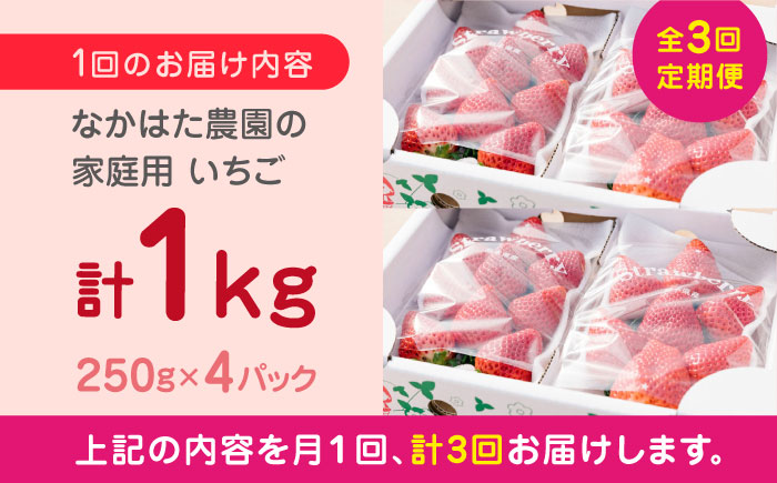 【先行予約】【全3回定期便】いちご食べ比べ セット 3品種 総計3.0kg ( 250g × 4P × 3回 ) 農園直送 産地直送 熊本県産 山都町産 いちご イチゴ ストロベリー【なかはた農園】[YBI003] 